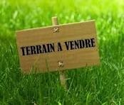 PLUSIEURS A VENDRE SUR DOUALA