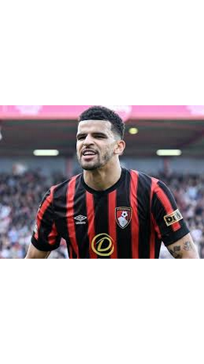 Tottenham conclut un accord de 65 millions de livres sterling pour l'attaquant Solanke